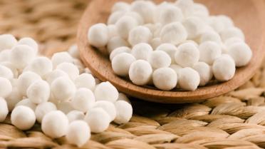 tapioca tapioca