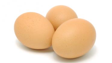 Leggen kippen tegenwoordig gouden eieren?