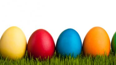 Welke eieren sieren jouw tuin vandaag?