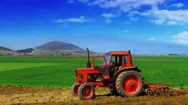 Wereldwijd dringend meer landbouwgrond nodig voor voedsel