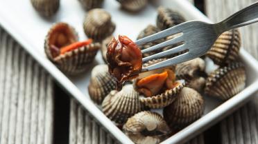 Lekkers van het seizoen: koken met kokkels