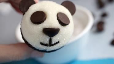 Zo maak je Panda cupcakes!