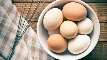 Blij met een ei: de weetjes en de basisbereidingen
