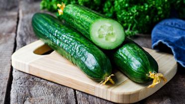 Lekkers van het seizoen: 5 gerechten met komkommer