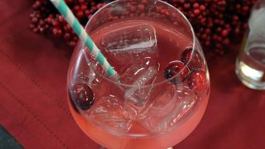 Gin-Tonic met veenbessen Gin-Tonic met veenbessen