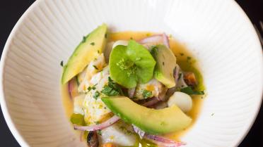 Mijn Pop-uprestaurant 2016!: ceviche van zeebaars met avocado van Jalapeno Loco