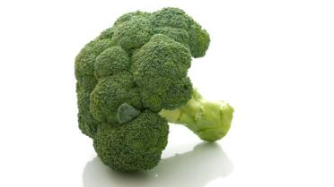Broccolikroketjes