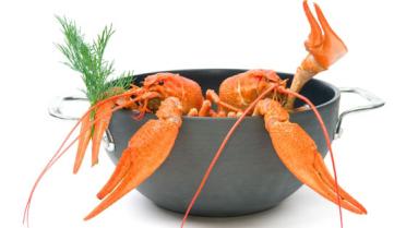 Langoustines met worteltjes