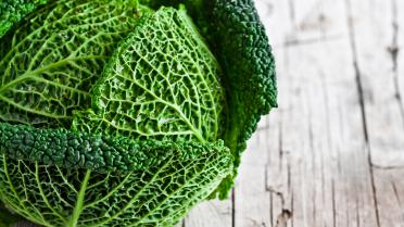 Superfoods zijn ingrediënten met goede voedingsstoffen en antioxidanten waardoor ze een positief effect hebben op je gezondheid. Al is dit niet altijd wetenschappelijk bewezen. Feit is wel dat het zeer voedzame producten zijn. De moeite om mee te experimenteren. Tot de iets specialere behoren gojibessen, cacaobonen, chiazaad, hennepzaad, bijenpollen, tarwegras, kokosvet, zeewier en algenextracten. Meer bekend is vette vis zoals zalm of makreel, donkergroene groenten zoals spruiten en kool of noten en zaden. Superfoods zijn ingrediënten met goede voedingsstoffen en antioxidanten waardoor ze een positief effect hebben op je gezondheid. Al is dit niet altijd wetenschappelijk bewezen. Feit is wel dat het zeer voedzame producten zijn. De moeite om mee te experimenteren. Tot de iets specialere behoren gojibessen, cacaobonen, chiazaad, hennepzaad, bijenpollen, tarwegras, kokosvet, zeewier en algenextracten. Meer bekend is vette vis zoals zalm of makreel, donkergroene groenten zoals spruiten en kool of noten en zaden