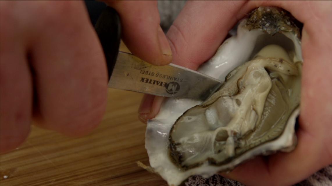 Video: Hoe open ik oesters?